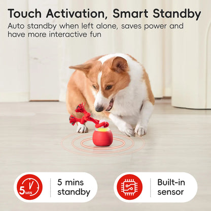 Potaroma Interactive Dog Ball Toy - Rechargeable Automatic Rolling Squeaky Ball for Indoor Fun & Training - Perfect for Small to Medium Breeds (Dark Red)