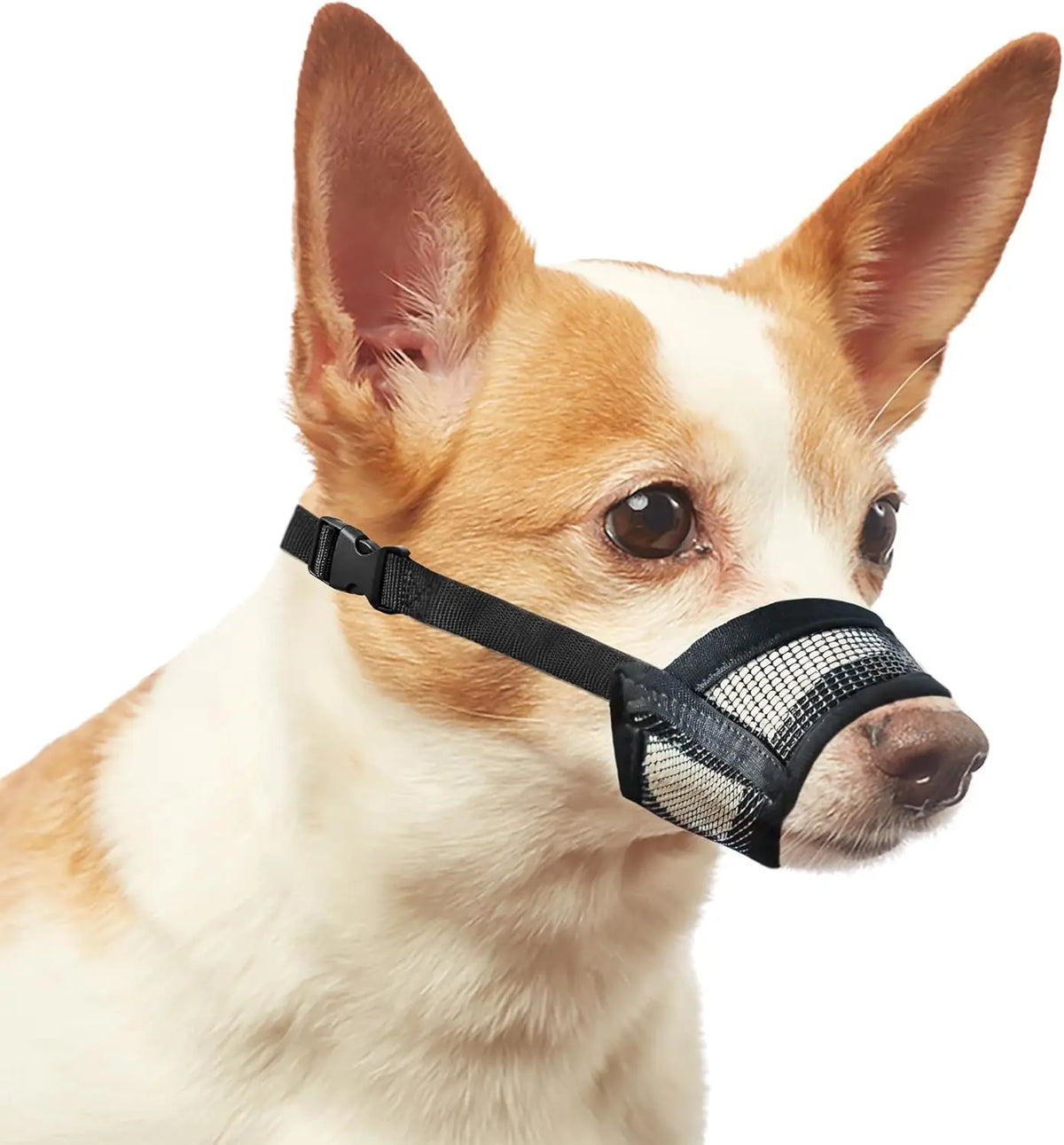 Back to School Adjustable Air Mesh Dog Muzzle - Prevent Biting, Licking & Chewing for All Dog Sizes