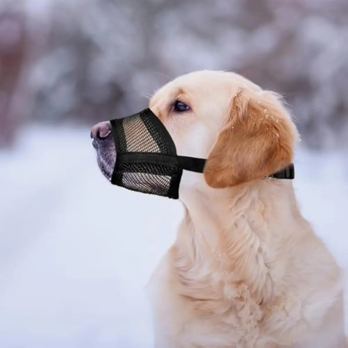 Back to School Adjustable Air Mesh Dog Muzzle - Prevent Biting, Licking & Chewing for All Dog Sizes