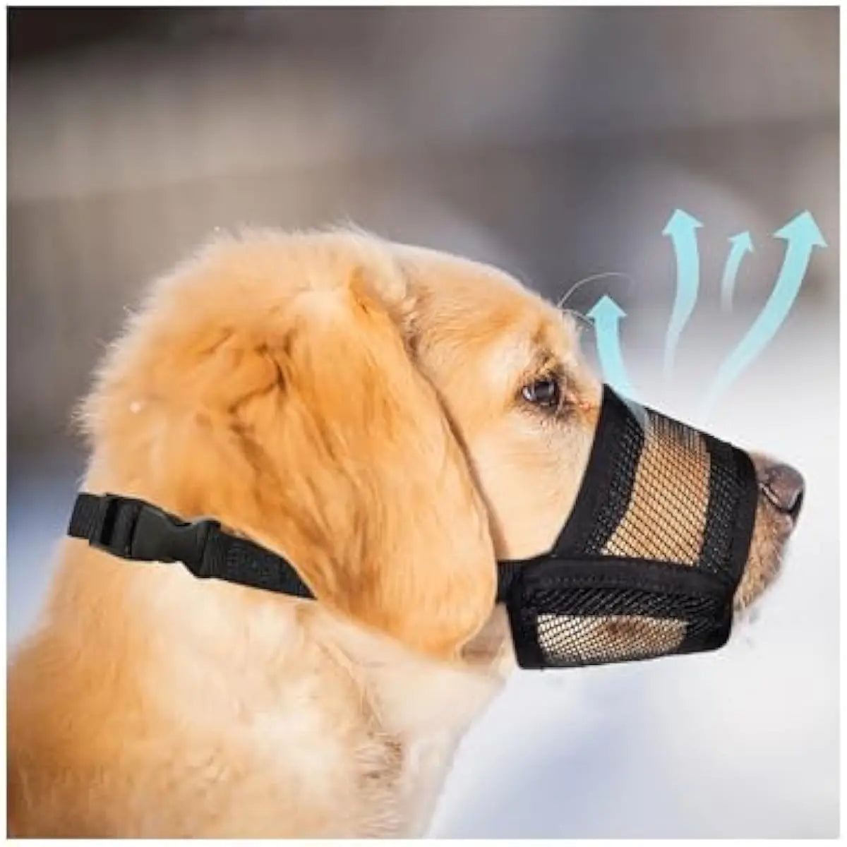 Back to School Adjustable Air Mesh Dog Muzzle - Prevent Biting, Licking & Chewing for All Dog Sizes