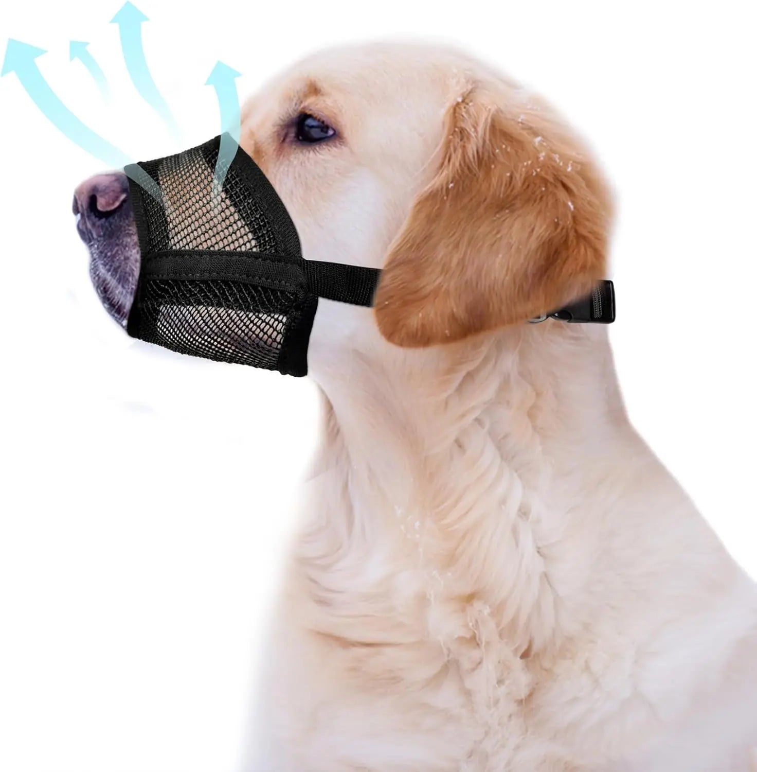 Back to School Adjustable Air Mesh Dog Muzzle - Prevent Biting, Licking & Chewing for All Dog Sizes