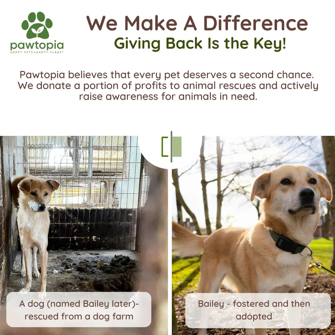Pawtopia Eco-Friendly Home Compostable Dog Poop Bags - 480 Count Value Pack, Biodegradable & Leak Proof, Perfect for Dogs & Cats, Easy to Open, Give Back to the Planet!