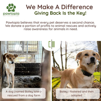 Pawtopia Eco-Friendly Home Compostable Dog Poop Bags - 480 Count Value Pack, Biodegradable & Leak Proof, Perfect for Dogs & Cats, Easy to Open, Give Back to the Planet!